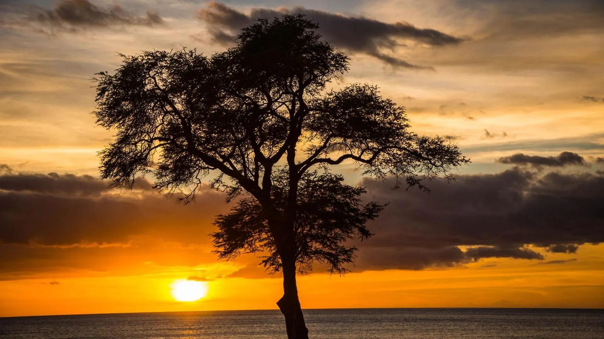 Ko Olina Beach Villas O1402 Kapolei United States